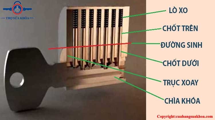 Ổ khóa thường có 5 chi tiết cơ bản